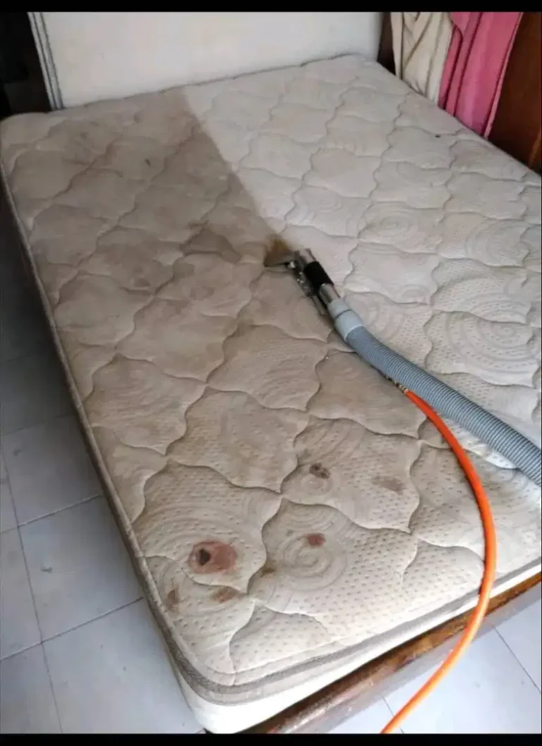 Trabajo 1